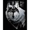 Royal & Langnickel® Engraving Art™ Dragon Wolf Silver Foil Kit